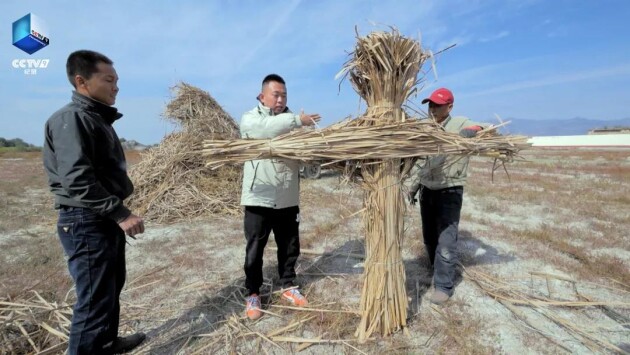 央视剧评 |《典故里的科学》：用技术与影像“考证”典故 重现历史