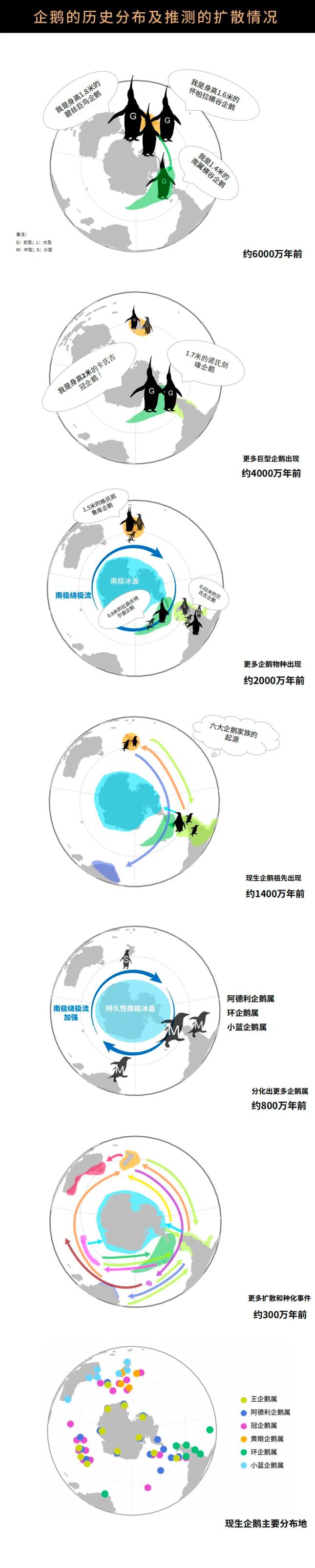 南极探索人类历史的意义_人类探索南极的历史_南极探索人类历史视频