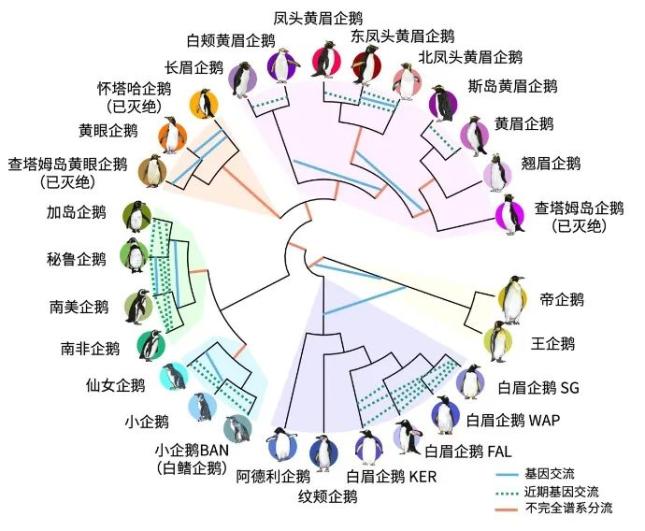 南极探索人类历史视频_人类探索南极的历史_南极探索人类历史的意义