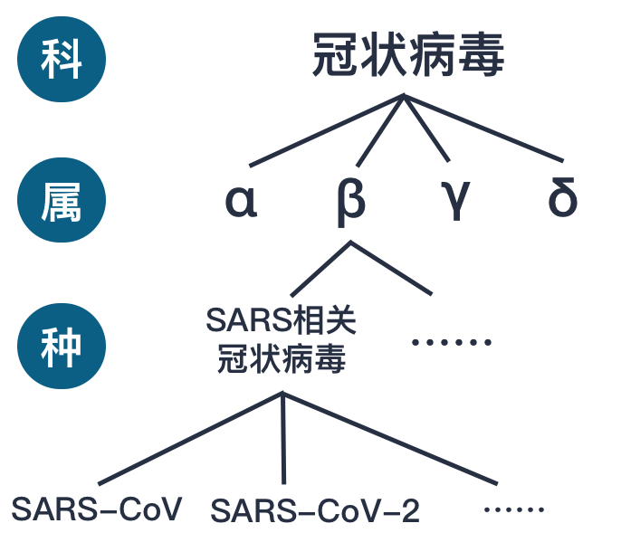 社会属性是什么短语_什么叫社会属性_社会属性意思