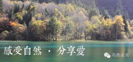 探索自然之美500字_探索自然奥秘_自然探索