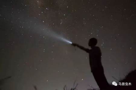 探索自然奥秘_探索自然之美500字_自然探索