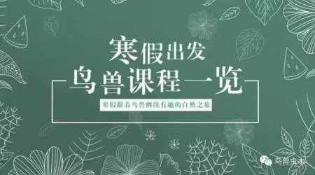 自然探索_探索自然之美500字_探索自然奥秘