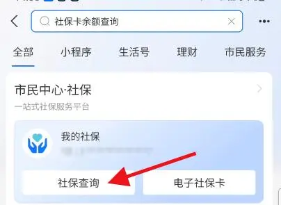 社会保障卡帐户余额怎么查_余额查询保障卡社会保障卡号_社会保障卡查询余额