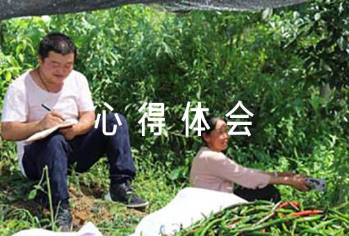 探索与奋斗_奋斗史创新史_奋斗史探索史