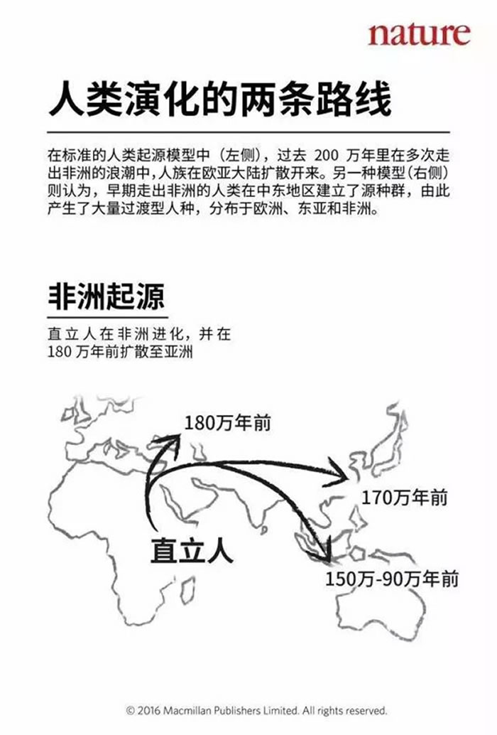 研究远古人类历史的主要依据是什么_了解远古人类的依据_研究远古人类起源的重要证据是