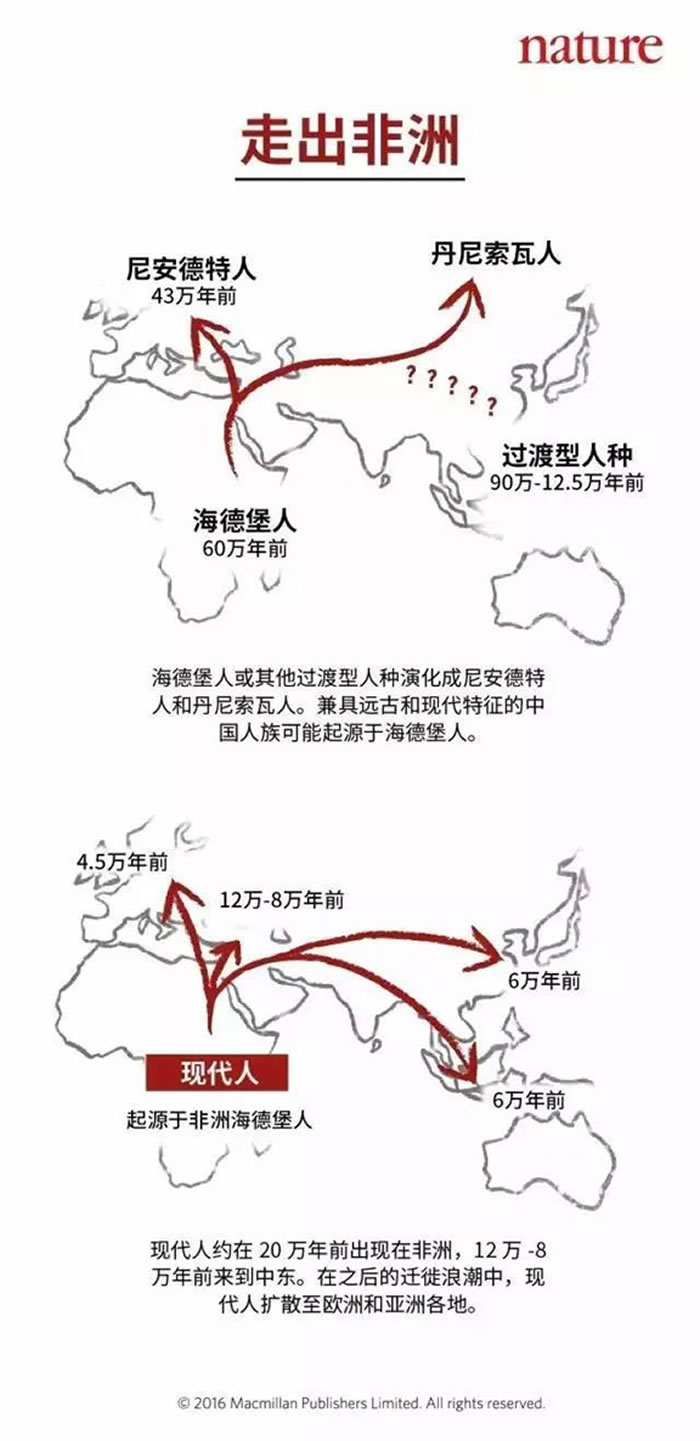研究远古人类历史的主要依据是什么_研究远古人类起源的重要证据是_了解远古人类的依据