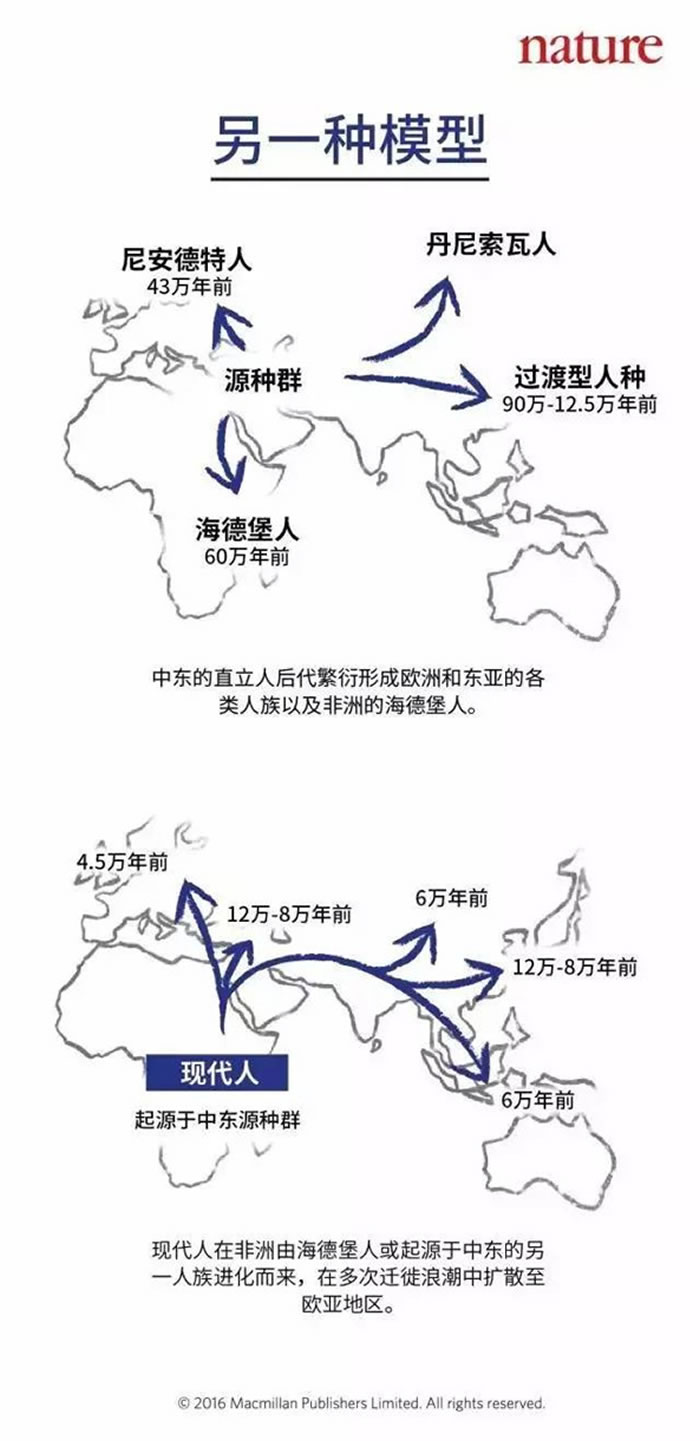 了解远古人类的依据_研究远古人类历史的主要依据是什么_研究远古人类起源的重要证据是