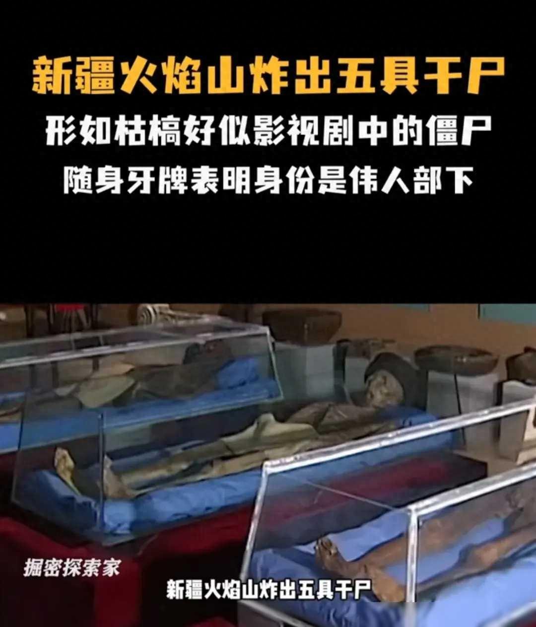 历史探寻_八上历史探索史_探索历史的故事