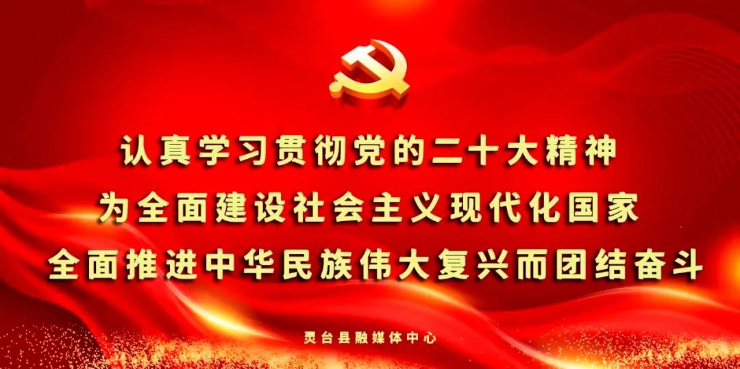 农业社会信用体系建设_农村社会信用体系建设_信用农业体系社会建设方案