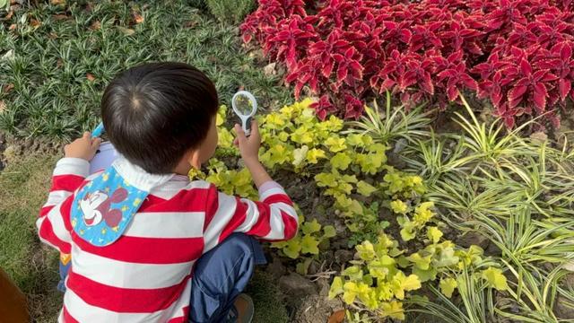 小小探索家第一季_小小探索家幼儿园项目课程_小小探索家