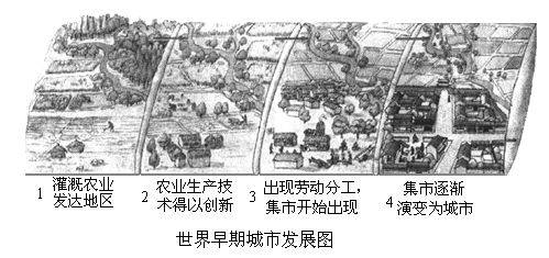 社会平均劳动力_社会平均劳动时间决定什么_社会平均劳动价值