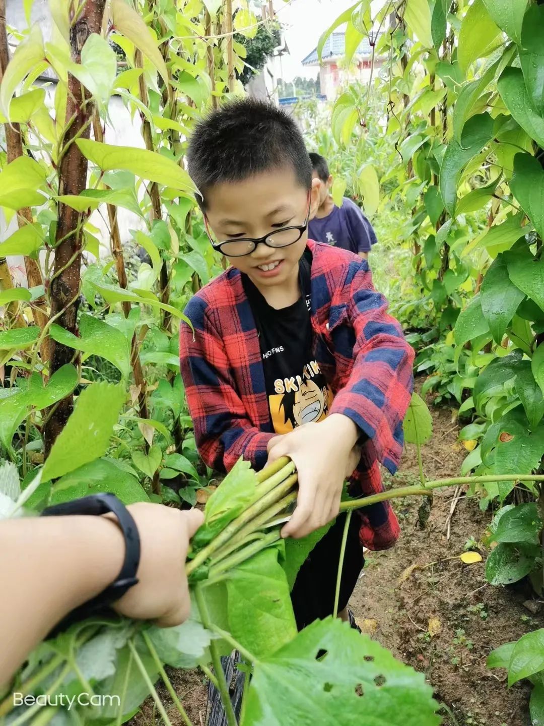 国学教育培养孩子什么_教育国学_国学教育机构