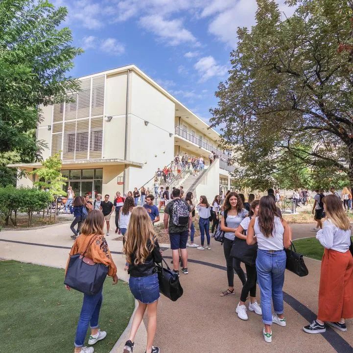 法国学制从小学到大学_法国学制_法国学制