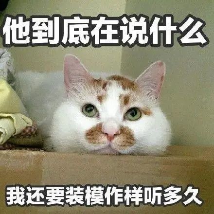 德国学校_德国学校放假时间_德国学校排名