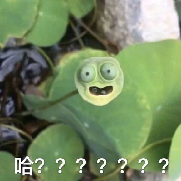魏璎珞的历史故事_魏璎珞历史原型是谁_历史上魏璎珞