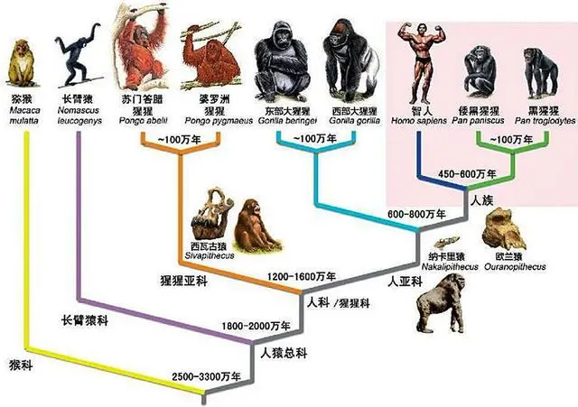 历程地球探索人类的发现_人类探索地球奥秘的历史过程_人类探索地球的历程