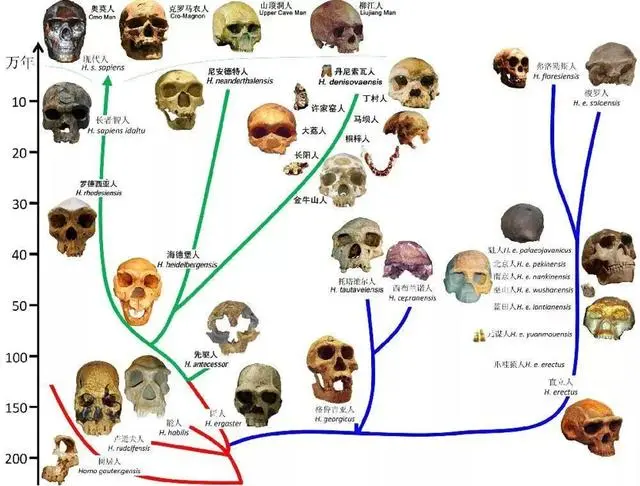 人类探索地球奥秘的历史过程_历程地球探索人类的发现_人类探索地球的历程