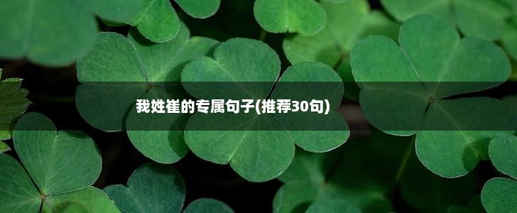 我姓崔的专属句子(推荐30句),第1张