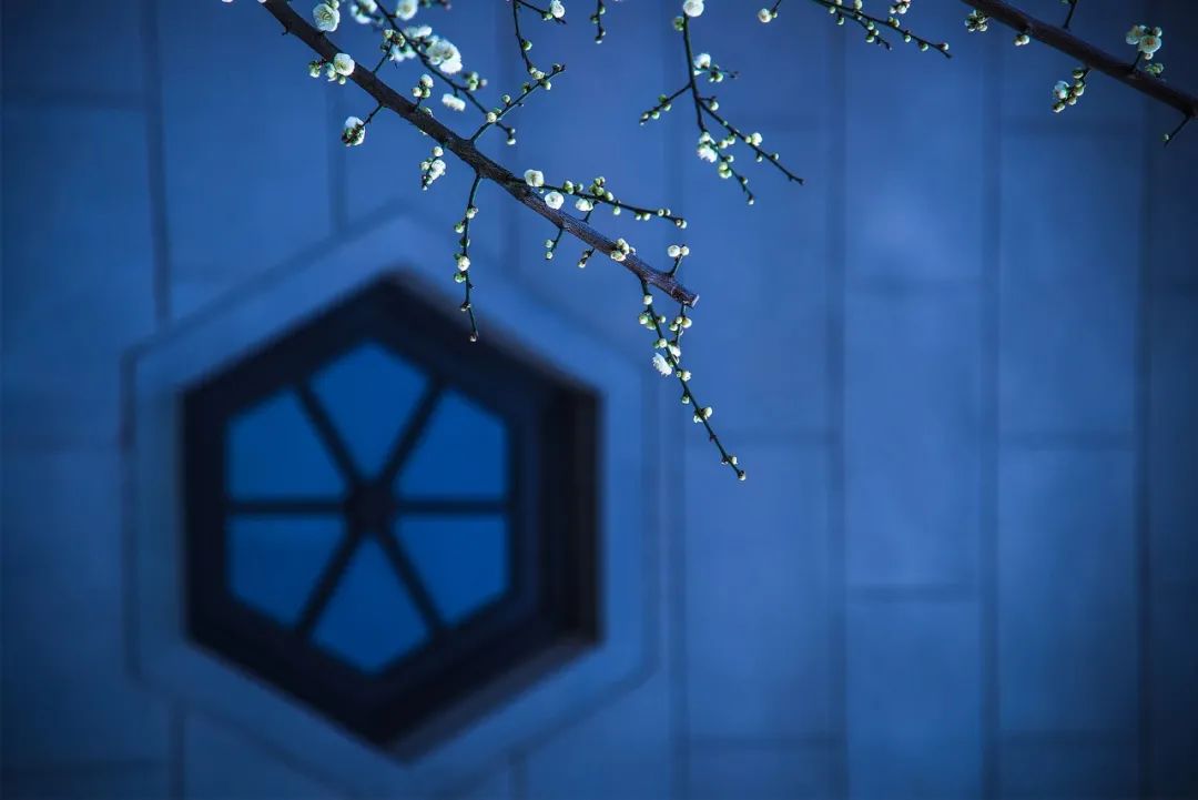 后汉书全文_后汉书_后汉书名句