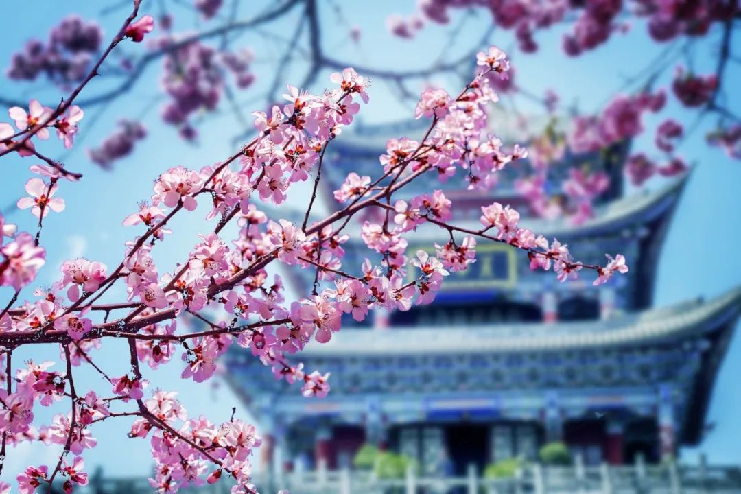 后汉书_后汉书名句_后汉书全文