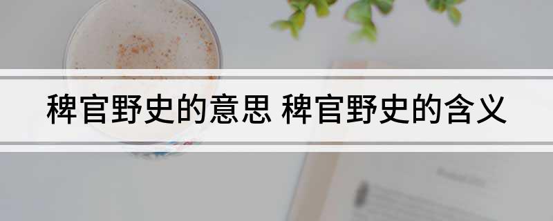稗官野史什么意思_什么官野史_稗官野史