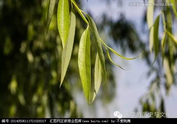 阿司匹林发明历史_阿司匹林发展历史及现状_阿司匹林的研发历史