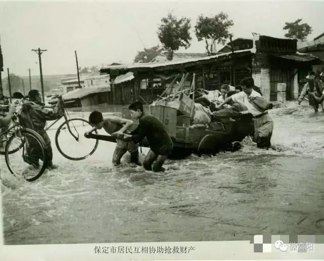 保定天气历史记录_保定历史天气_保定天气历史天气查询