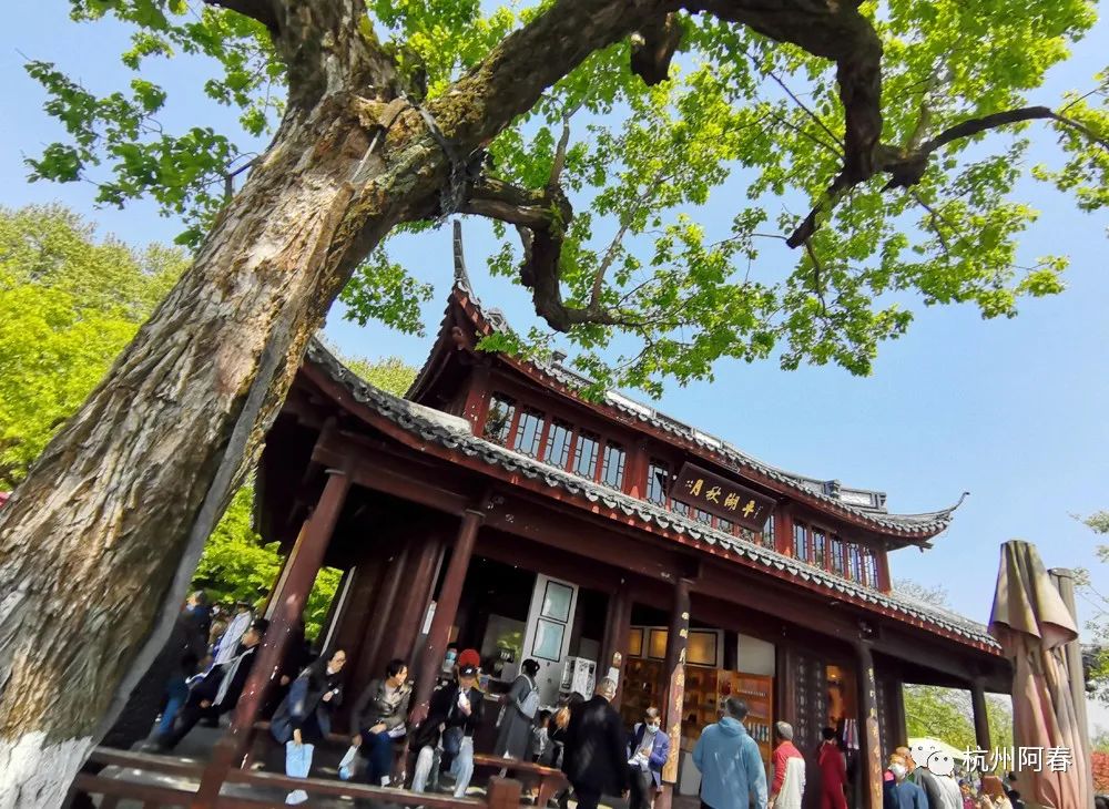 断桥中的人物_断桥的传说人物和历史_白堤和断桥历史人物
