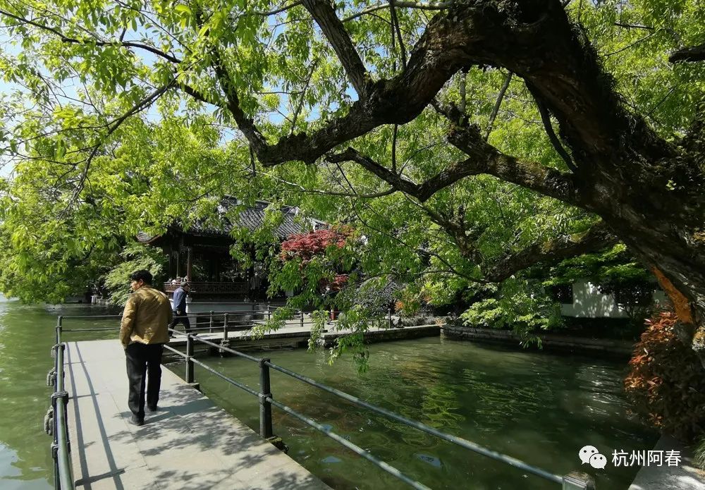 断桥的传说人物和历史_断桥中的人物_白堤和断桥历史人物