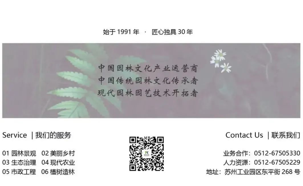 苏州文史研究者邹绵绵简历_苏州文史资料选辑_苏州文史