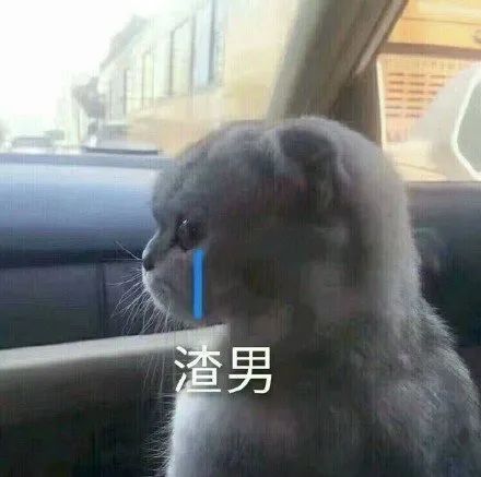 孙俪黑历史_孙俪的黑历史_孙俪被黑