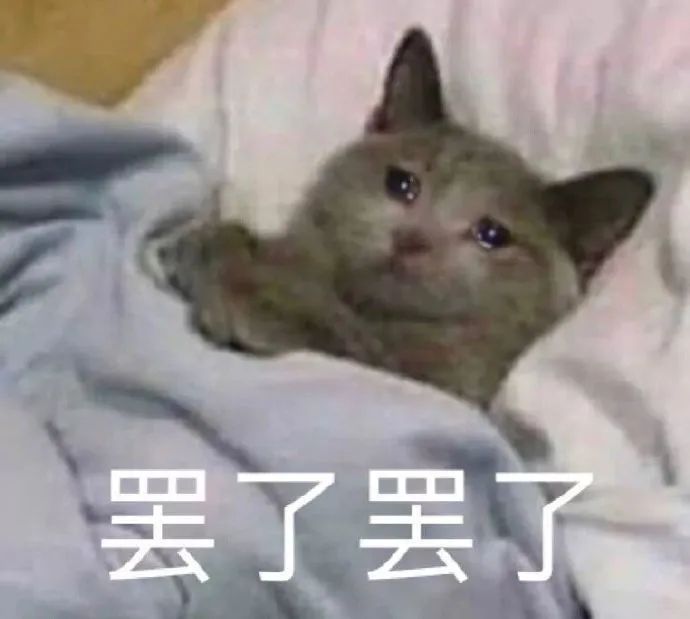 孙俪被黑_孙俪的黑历史_孙俪黑历史