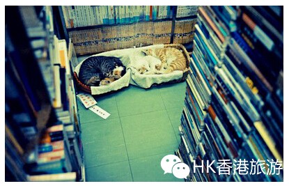 文史哲类书籍_文史哲学书籍_文史哲方面的书有哪些