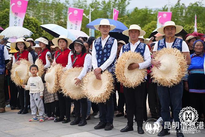 青年服务社会_青年社会服务图片_青年社会服务的意义