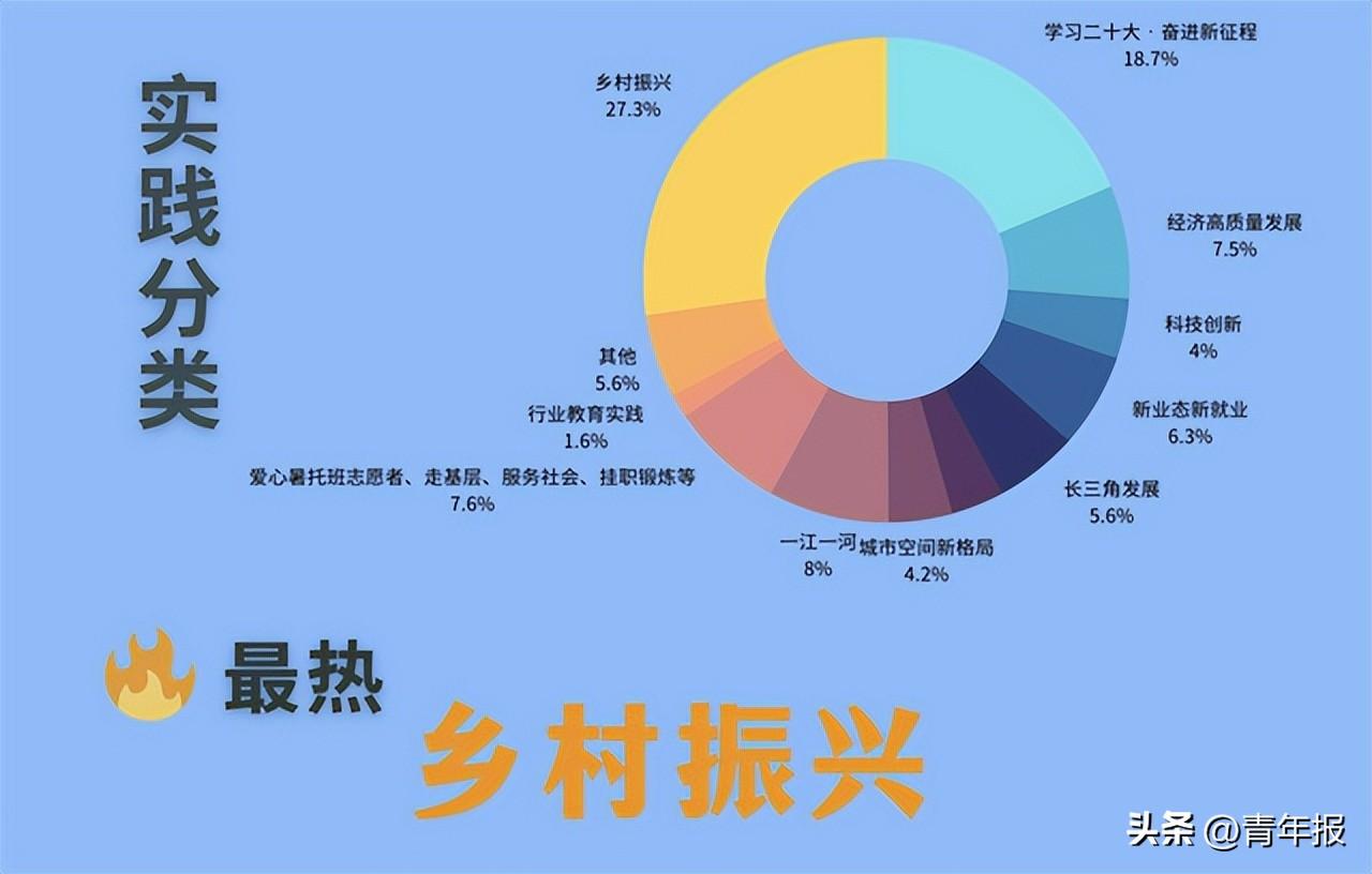 大学生暑期社会实践项目名称_大学生暑期社会实践项目_大学生暑期社会实践项目简介