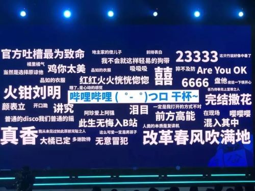 弹幕历史记录_查看历史弹幕_弹幕查看历史怎么看