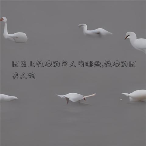 历史上姓凌的名人有哪些,姓凌的历史人物
