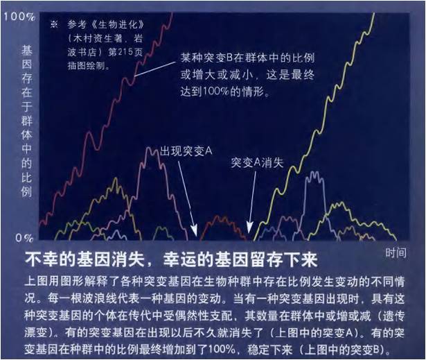 研究人类进化史的意义_进化的意义_对于研究古人类进化的历史具有重要的意义为