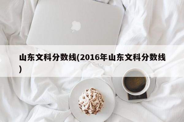 2020年高考文史分数线_2021高考文史类分数线_2016年文史类分数线