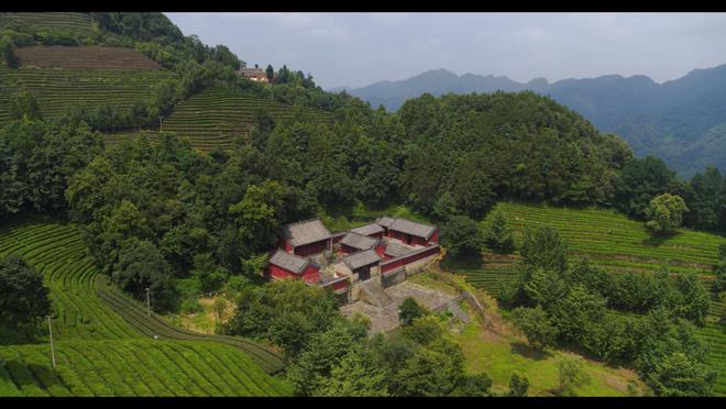 药书本草纲目大全图片_药书配方大全_药书