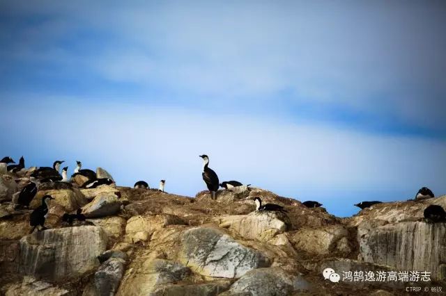 南极的探索历程_南极探险的历史_南极探索历史