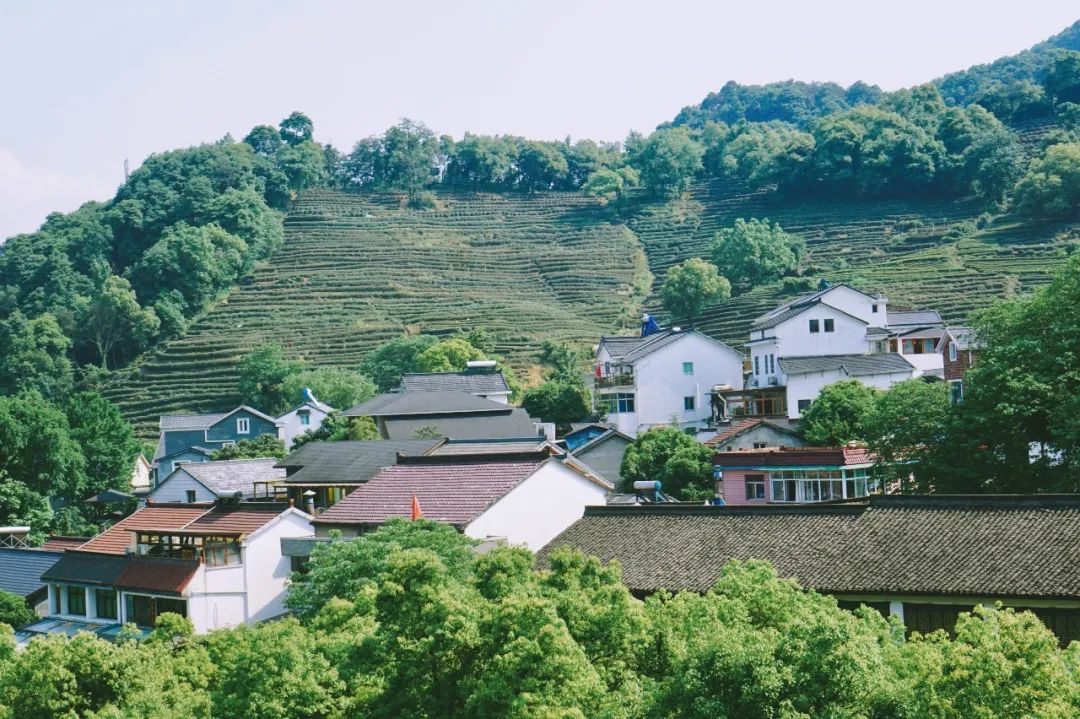 乡土社会的特征_乡土社会特征及其内涵_乡土中国中乡土社会的特性