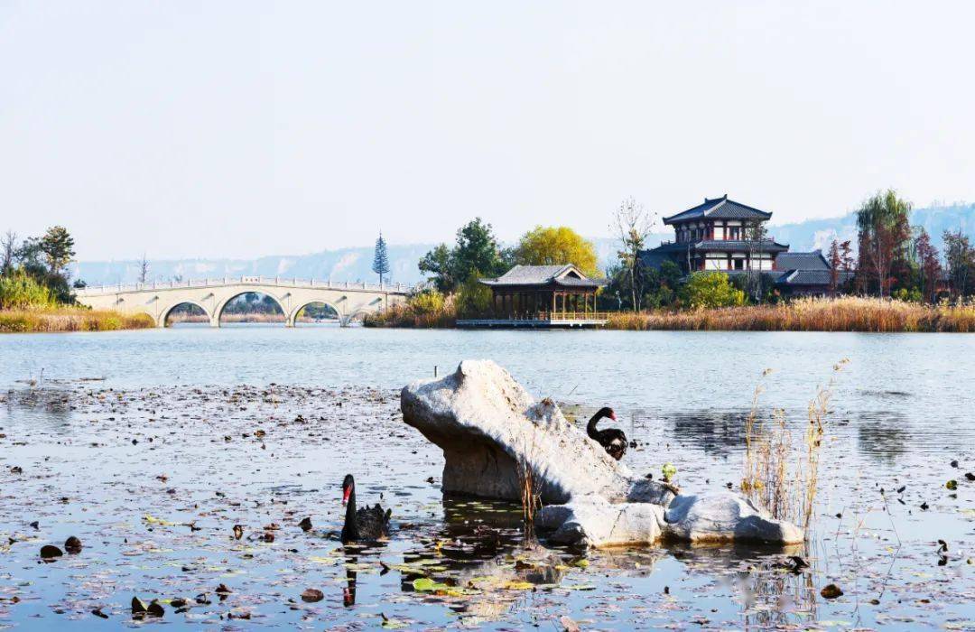 韩城文史公园门票_韩城文史公园为什么拆迁_韩城文史公园怎么停止不建了