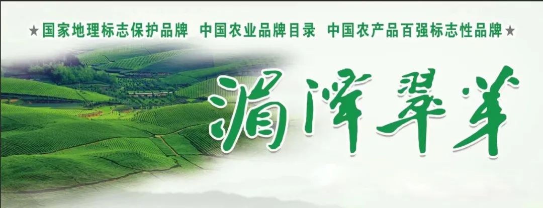 阶层人士联谊社会会议内容_社会阶层人士联谊会_新的社会阶层人士联谊会员