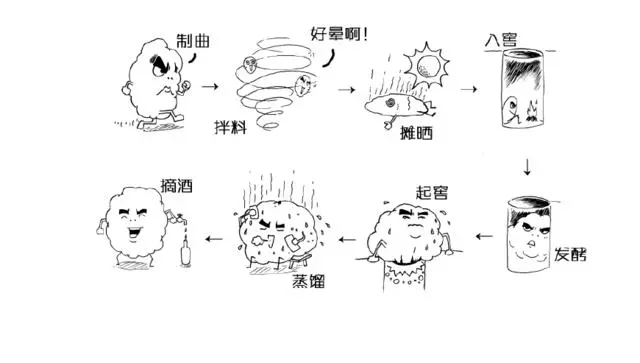 白酒历史酿造时间_白酒历史酿造过程_白酒酿造历史