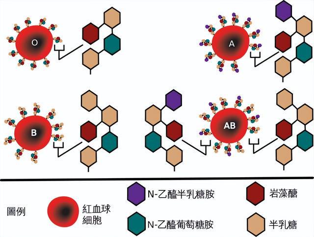 b型血的历史名人_b型血世界名人_b型血名人有哪些