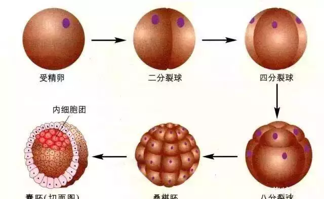 宇宙探索人类历史多少年_人类探索宇宙的历史人物_人类探索宇宙的历史