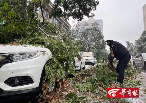 雷暴中西安迎来今冬暴雪级初雪！相关部门：实属罕见