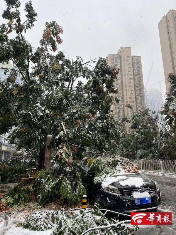 雷暴中西安迎来今冬暴雪级初雪！相关部门：实属罕见